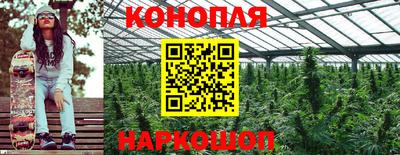 прущие грибы Апшеронск