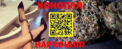прущие грибы Апшеронск