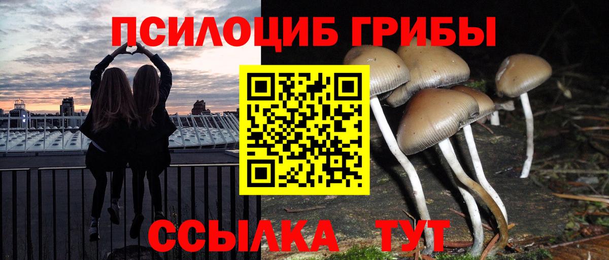 Галлюциногенные грибы Magic Shrooms Донской